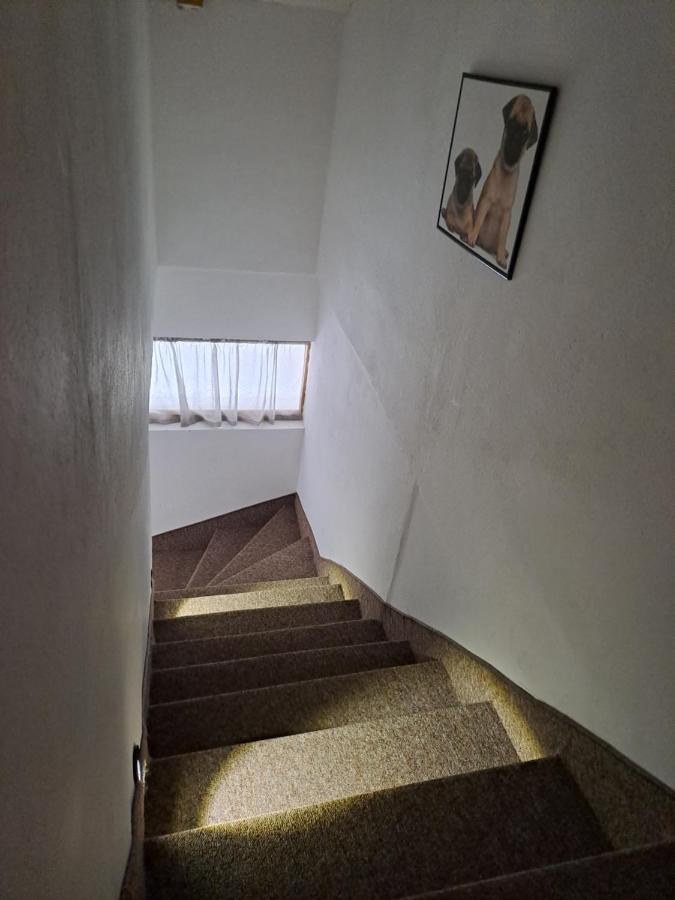 Sofi Daire Ni Dış mekan fotoğraf